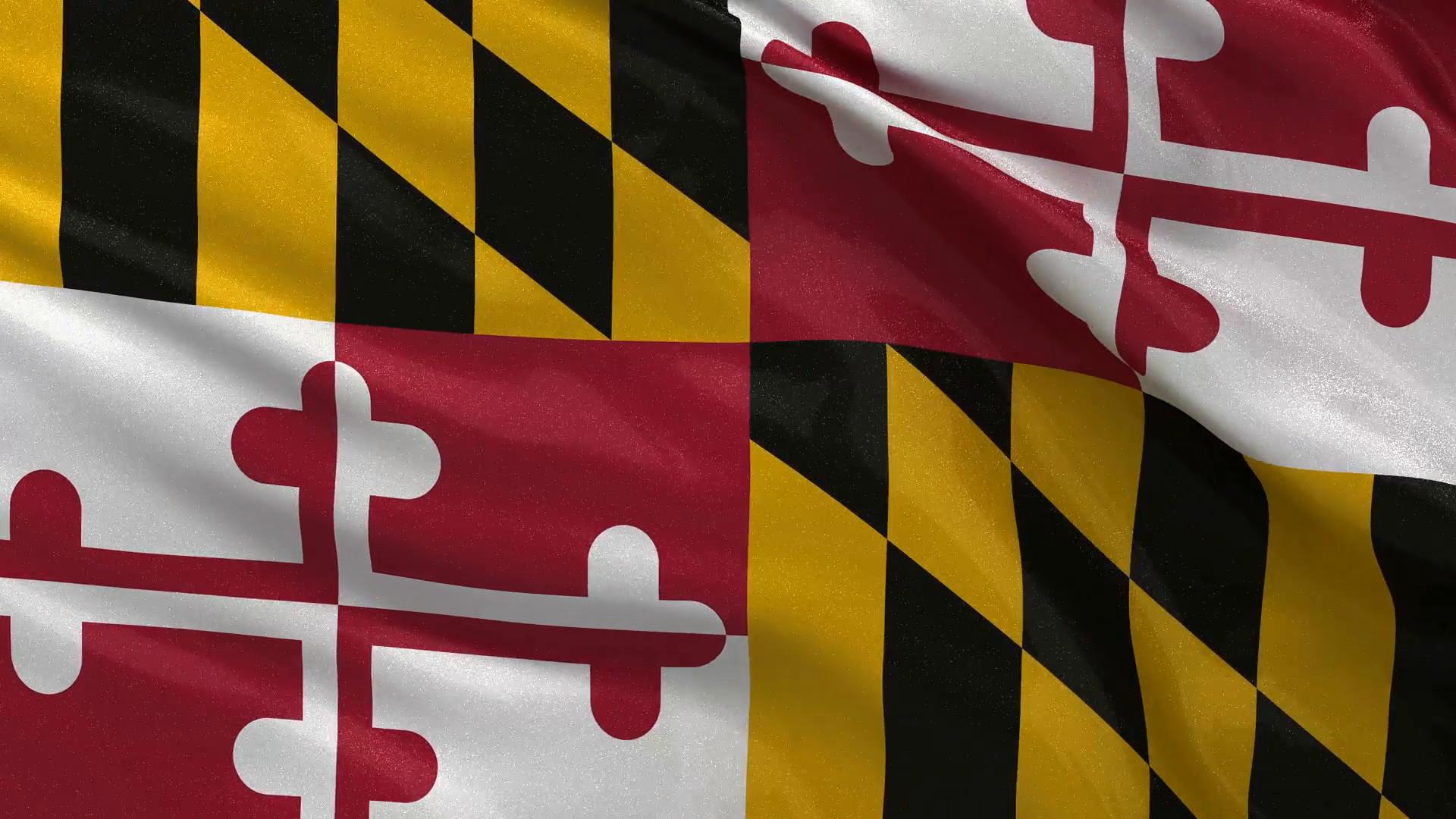 Maryland 1080P 2K 4K 5K HD wallpapers free download  Wallpaper Flare